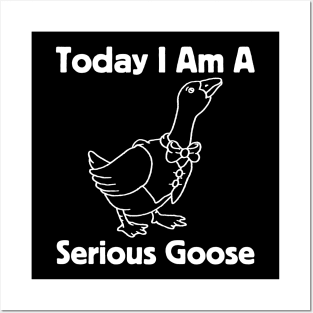 Today I Am A Serious Goose Posters and Art